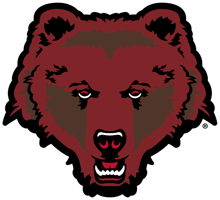 Brown Bears 2018-Pres Alternate Logo diy DTF decal sticker